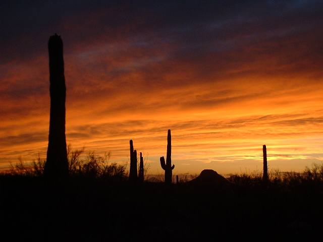 Tucson Sunset