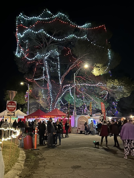 Winterhaven Tucson by James Barnett