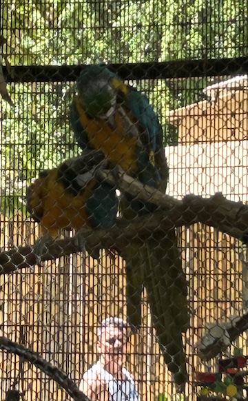 Reid Park Zoo, Tucson. Photo by James Barnett