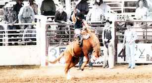 Sonoita Rodeo