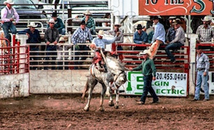 Sonoita Rodeo