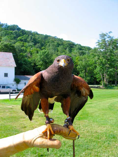 Equinox Resort & Spa in Manchester Village, VT. 